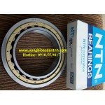 BẠC ĐẠN NU1017 NTN